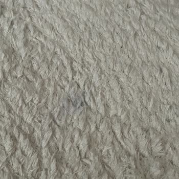 Halı Yıkamada Beklenmedik Sorunlar