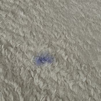 Halı Yıkamada Beklenmedik Sorunlar