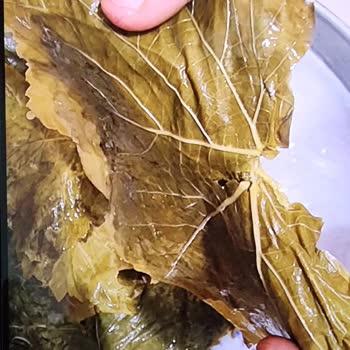 @naturellsalamur Çürük Ürün Gönderdi!
