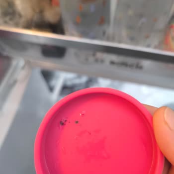 Küflenen Kapaklar Ve Kötü Koku Sorunu