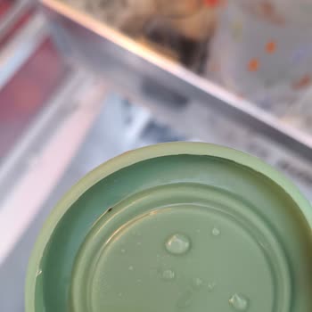 Küflenen Kapaklar Ve Kötü Koku Sorunu