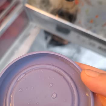 Küflenen Kapaklar Ve Kötü Koku Sorunu