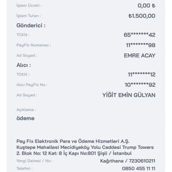 Para Transferinde Yaşanan Sorunlar