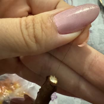 Biscolata Stix'ten Çıkan Şok Edici Kıl
