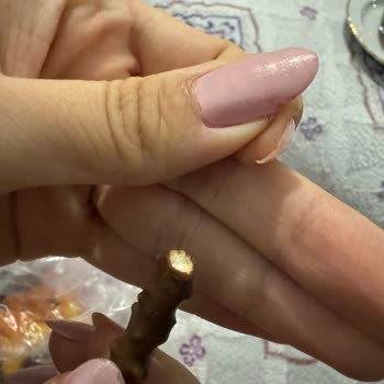 Biscolata Stix'ten Çıkan Şok Edici Kıl