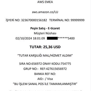 Bilinmeyen Amazon Kesintileri: Acil Çözüm Arayışı