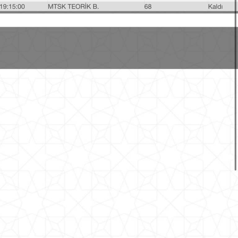 Ehliyet Sınavı Sonuçları Hakkında Adil İnceleme Talebi