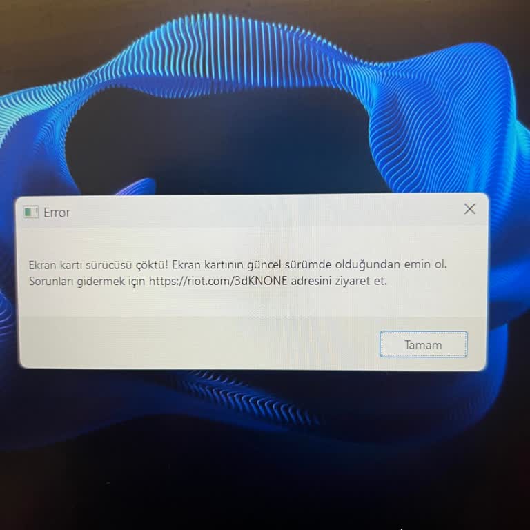 Ekran Kartı Sürücüsü Sorunu: Çözüm Bekliyorum