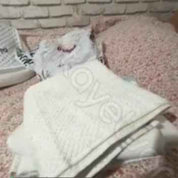 Trendyol Özdilek Kargo Ürün Paketleme