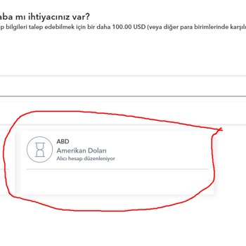 Payoneer Hesap Onayı Sorunu: Amerika Hesabım Neden Beklemede?