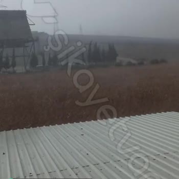 TARSİM Mısır Fırtına Vurdu Hasarsız Dediler