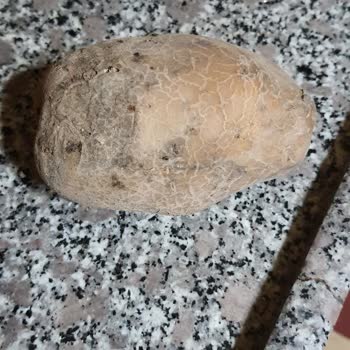 Migros Sanal Marketten Sürekli Çürük Patates Gönderimi