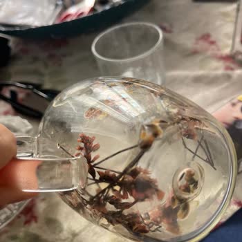 Kupadunyamcom'dan Aldığım Kusurlu Kupalar Ve Kötü Müşteri Hizmeti