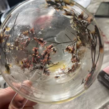 Kupadunyamcom'dan Aldığım Kusurlu Kupalar Ve Kötü Müşteri Hizmeti