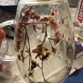 Kupadunyamcom'dan Aldığım Kusurlu Kupalar Ve Kötü Müşteri Hizmeti