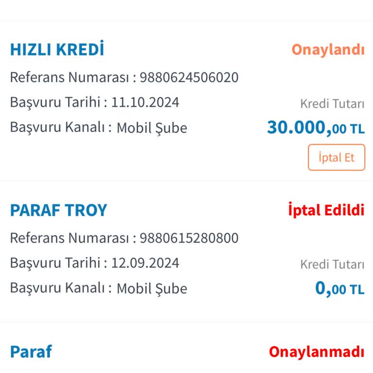 Onaylanan Krediyi Kullanamama Sorunu