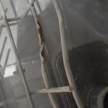 Teka Bulaşık Makinesi: Paslanma Ve Mekanik Arıza Sorunu