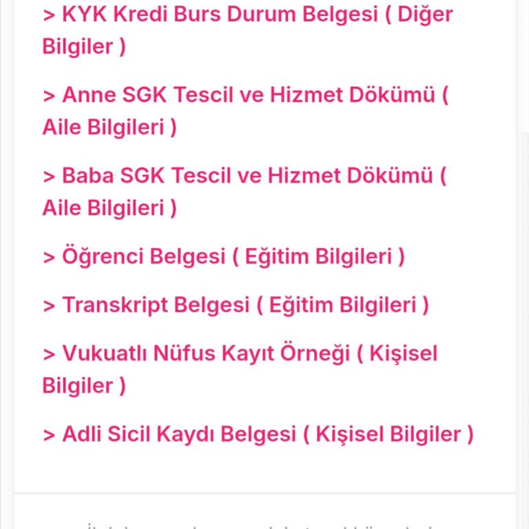 TEV Burs Başvurusunda PDF Formatı Sorunu