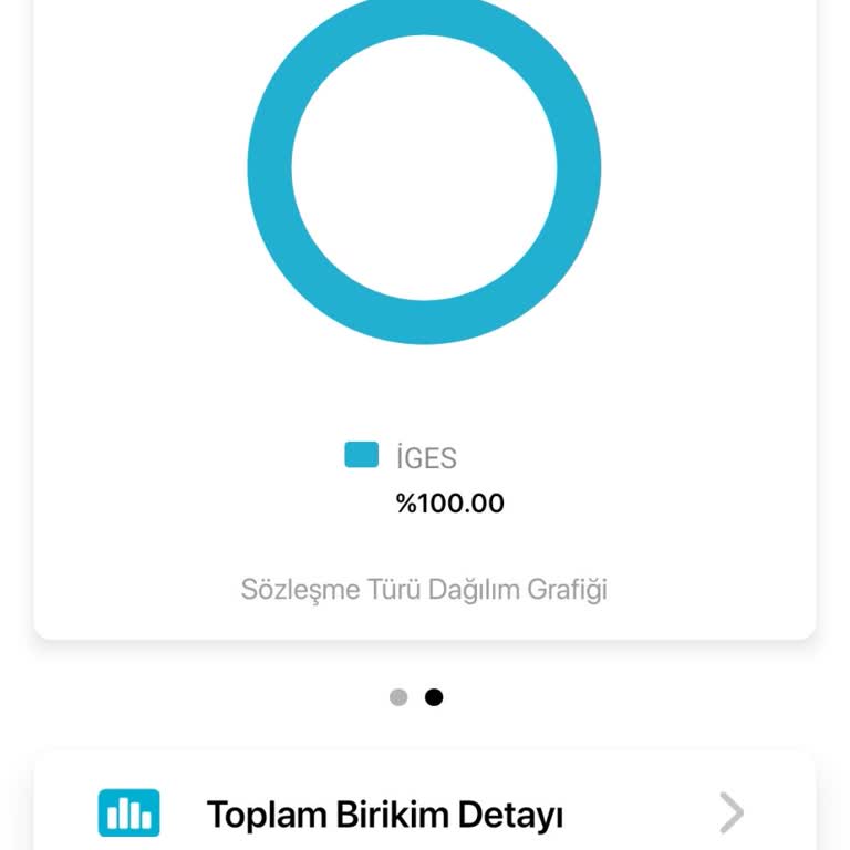 BES Sisteminde Birikim Kaybı Ve Çıkış Zorluğu