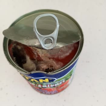 Şok Marketten Alınan Vatan Salça Bozuk Çıktı