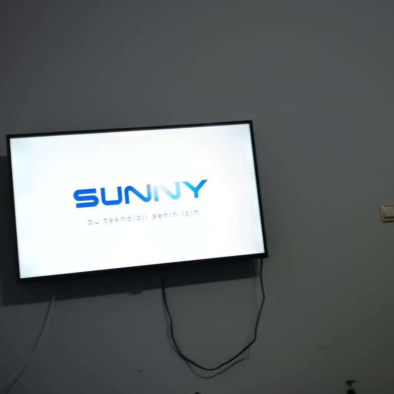 Sunny TV: Açılış Ekranında Donma Ve Kumanda Sorunları