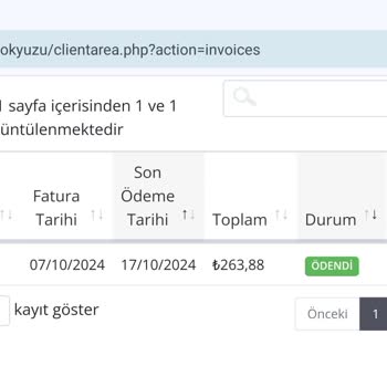 Cloudvist.com'da İlgisizlik Ve Para İadesi Sorunu