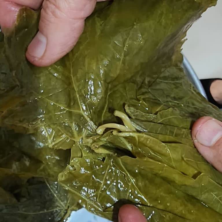 @naturellsalamur Ürün Çürük Çıktı