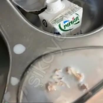 Pınar Vanilya Protein Süt