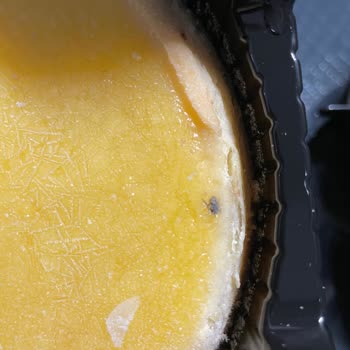 BİM'den Alınan Cheesecake İçinde Böcek Şoku