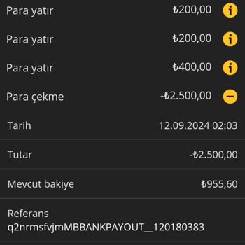 Ödeme Gecikmesi Ve Banka İletişim Sorunları