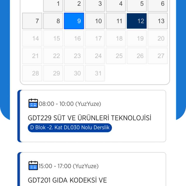 Üniversite Deneyiminde Etkinlik Ve Program Sorunları