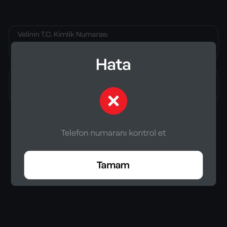 Papara Hesap Onayı İçin Veli Bilgisi Sorunu
