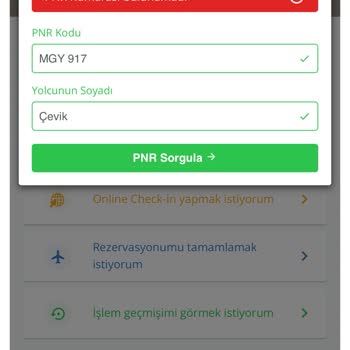 PNR Kodu Hatası Ve İletişim Sorunları