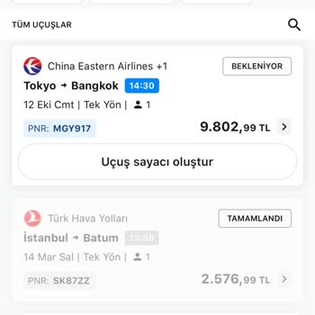 PNR Kodu Hatası Ve İletişim Sorunları