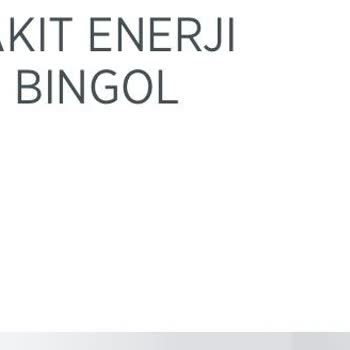 Opet'ten Aldığım Yakıt Aracımın Enjektörlerini Bozdu, Zararımın Karşılanmasını İstiyorum
