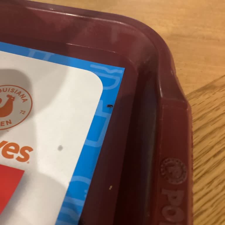 Popeyes'te Yemeğimden Böcek Çıktı, Hijyen Endişesi
