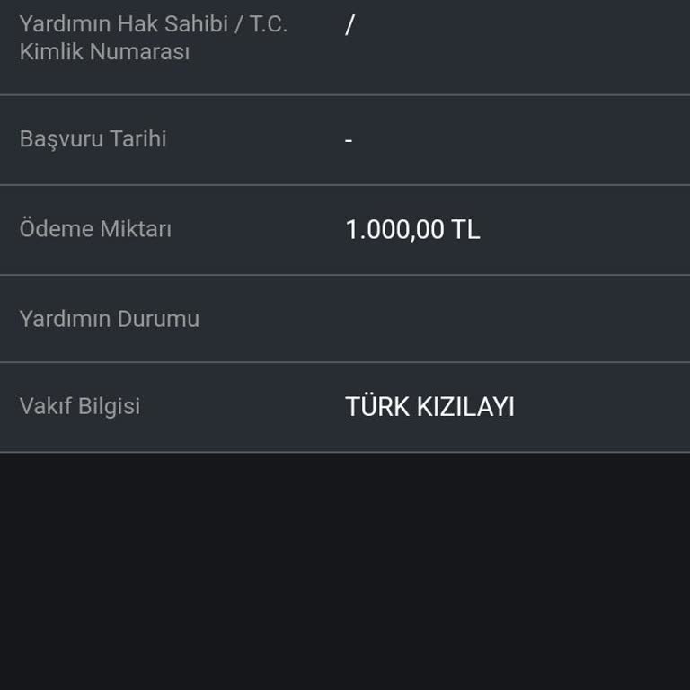 E-Devlet Üzerinden Bilgilendirme Eksikliği Ve Para Transferi Sorunu