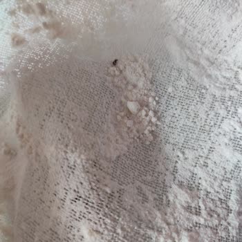 Migros'tan Aldığım Un Böceklendi!