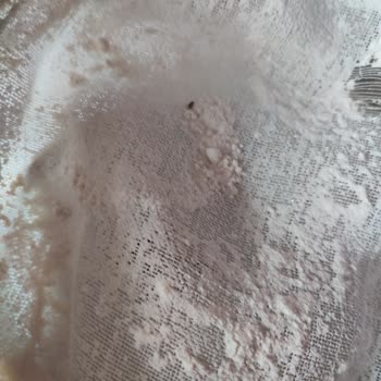 Migros'tan Aldığım Un Böceklendi!