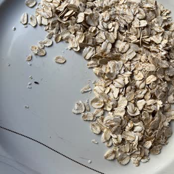 Güvendiğim Wefood Ürünlerinde Böcek Şoku