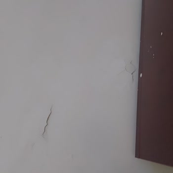 Hijyen Sorunları Ve Yetersiz Yönetim: Paramızla Rezil Olmak