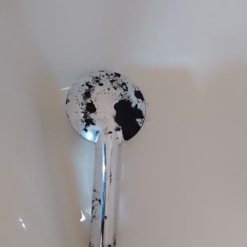 Hijyen Sorunları Ve Yetersiz Yönetim: Paramızla Rezil Olmak