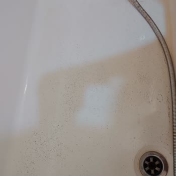 Hijyen Sorunları Ve Yetersiz Yönetim: Paramızla Rezil Olmak