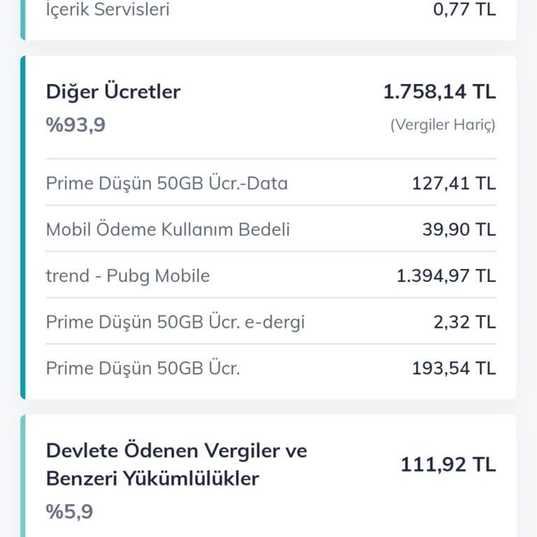 Faturama Yansıyan Bilgim Dışındaki Ücretler