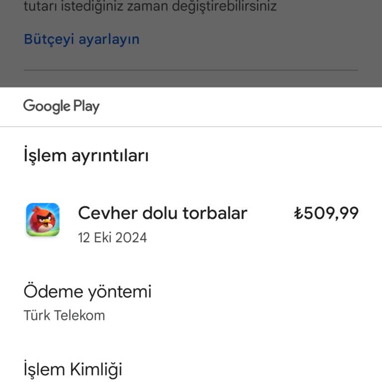 Angry Birds 2'de Alınan Mücevher Paketi Hesaba Yansımadı