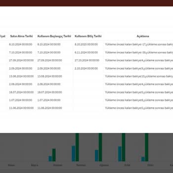 Bilsoft Yazılım E-fatura Kontör Sorunu Çözülemiyor