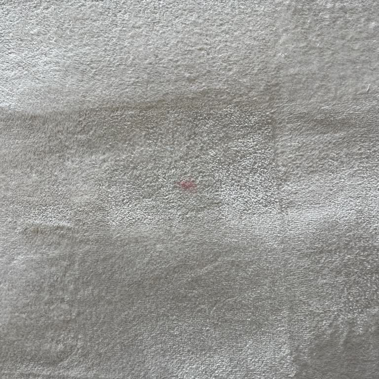 Halı Bakım Servisinden Beklenenin Altında Hizmet