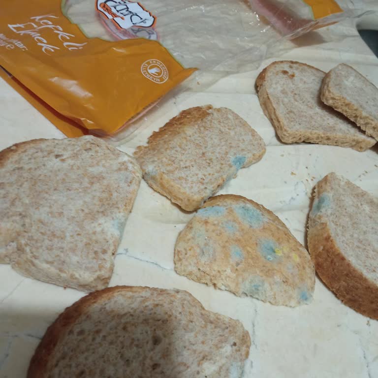 BİM Marketten Alınan Küflü Ekmek Sorunu