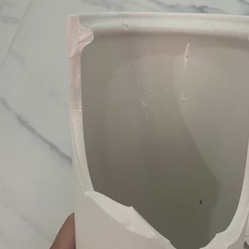 Mudo'dan Aldığım Ürünler Hüsranla Sonuçlandı