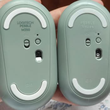Çiçek Sepeti'nden Alınan Sahte Mouse Sorunu